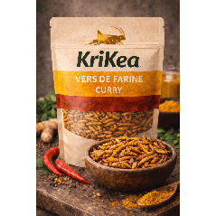 Vers de farine curry 25g - Insectes comestibles épicés