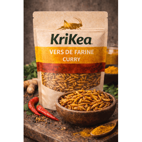 Vers de farine curry 25g - Insectes comestibles épicés